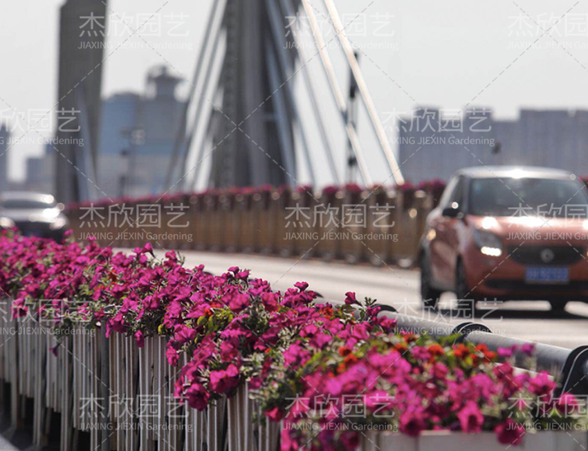 鋁合金創(chuàng)意花箱有哪些款式？
