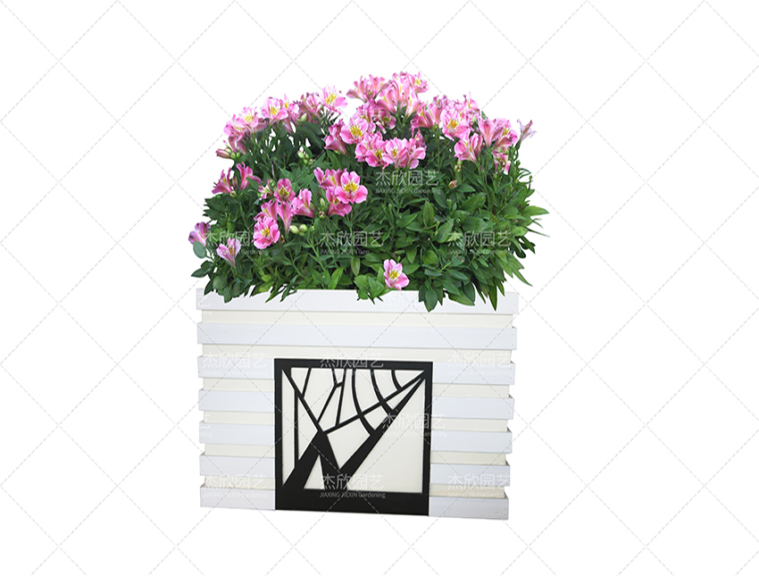組合花箱中有哪些創(chuàng)意款式？